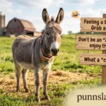 Ass Puns