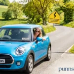 Driving Puns