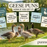 Geese Puns